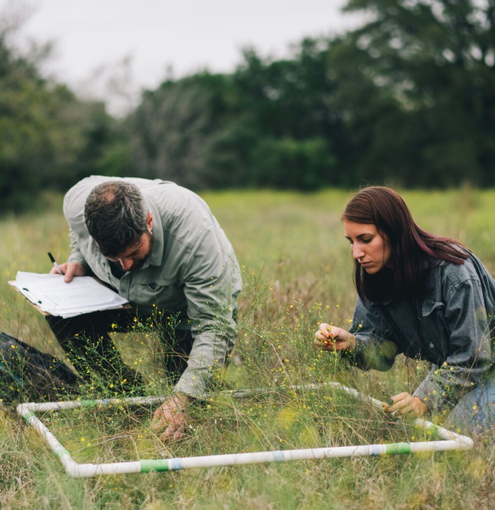 UT researchers out in the field